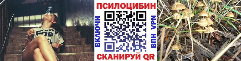 Галлюциногенные грибы мицелий  Можга 