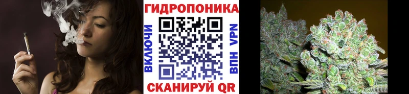 Конопля Ganja Можга